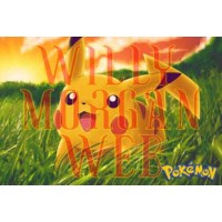 Pokemon Pikachu 2 Pokemon Pikachu 2